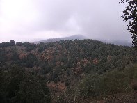 nte Ilice-20110120 050